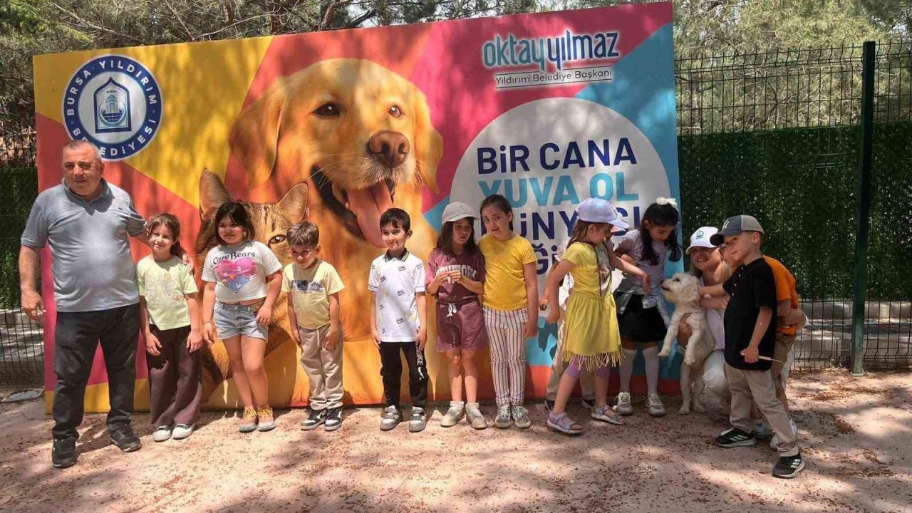 Sahipsiz sokak hayvanları tedavi merkezi ve doğal yaşam alanı, öğrencileri ağırladı