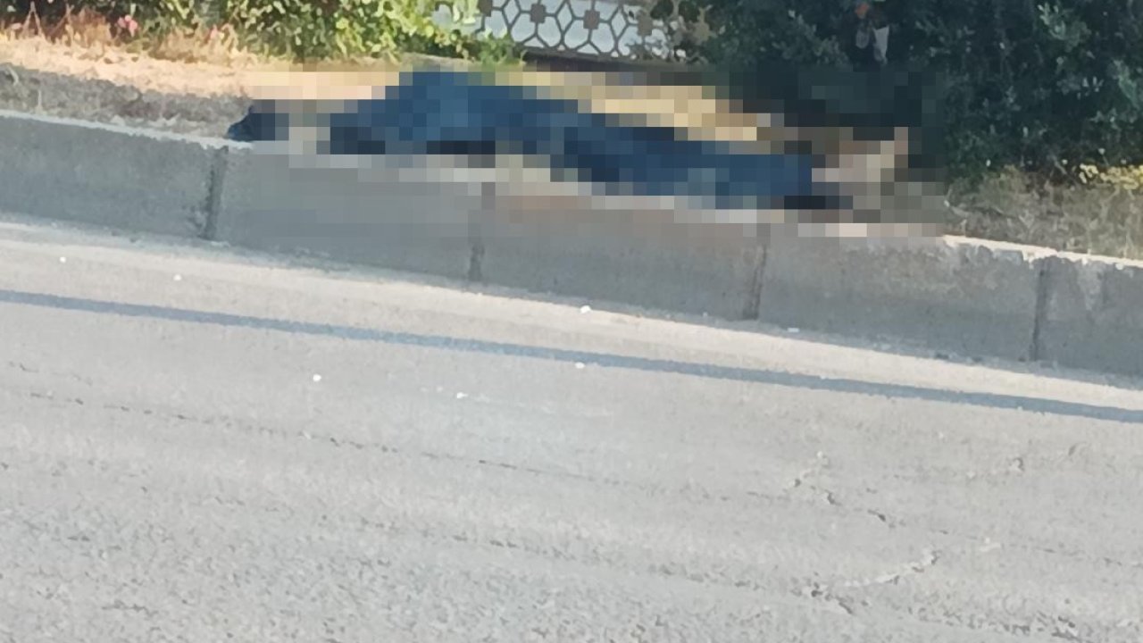 Adana’da minibüsün çarptığı yaya hayatını kaybetti