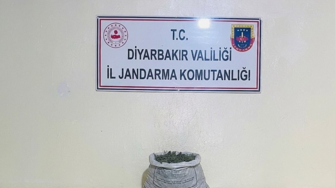 Diyarbakır’da 19 kilo 800 gram esrar ele geçirildi