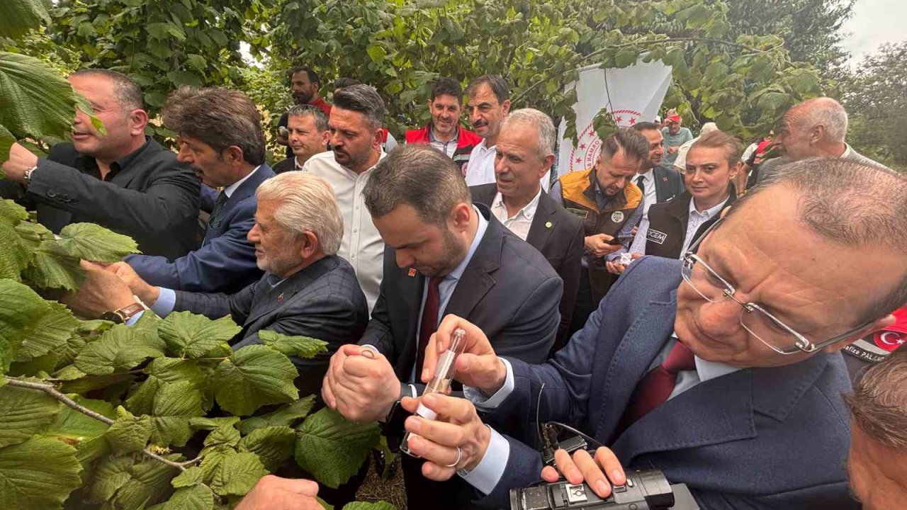 Trabzon’da kahverengi kokarcaya karşı doğal ordu göreve başladı