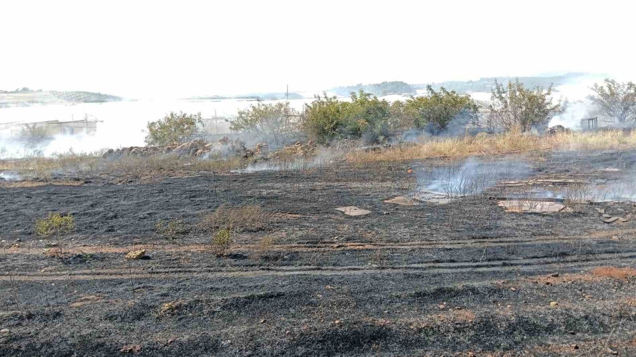 Antalya’da otluk alan yangını itfaiye ekiplerince söndürüldü