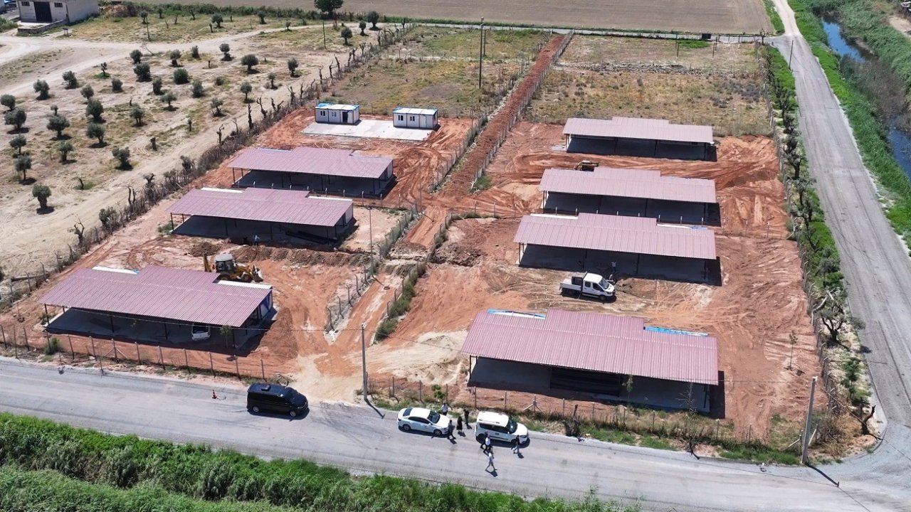 Efeler Belediyesi’nden sokak hayvanları için yeni yaşam alanı