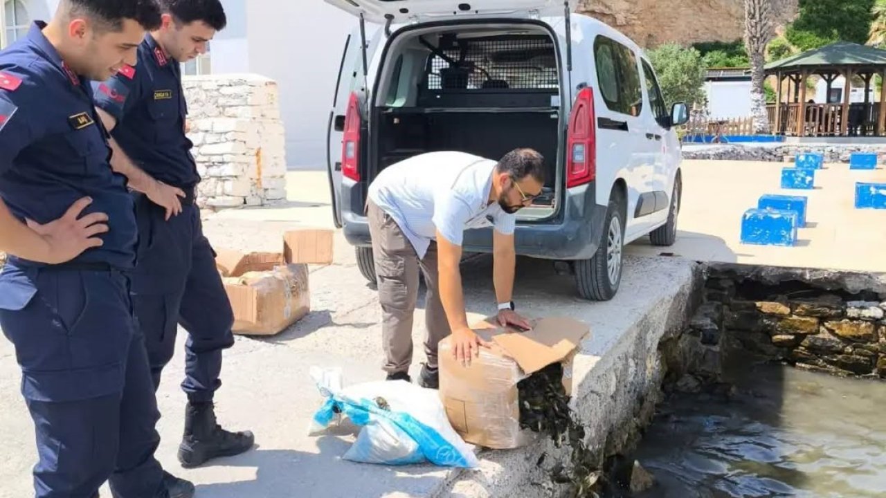 Aydın’da 60 kilo canlı yengeç ele geçirildi