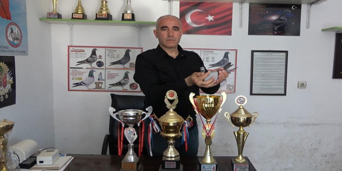 Ermenistan sınırından bırakılan güvercin bin kilometre yolu bir günde katederek evine döndü