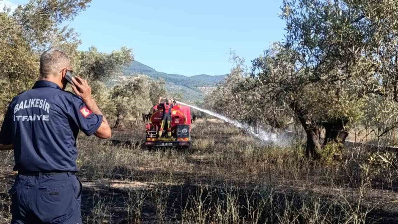 Balıkesir Ziraat Odası Başkanı Demirbay: "Bir yıllık emek bir sigara izmaritiyle kül olmasın"