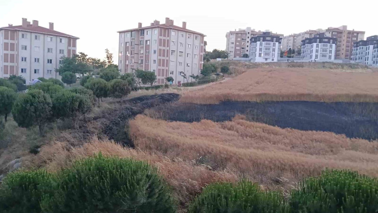 Bandırma’da buğday tarlası yangını korkuttu