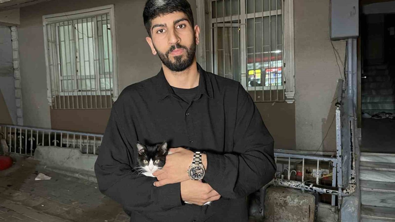Küçükçekmece’de 7’inci kattan düşen kedi şemsiye ile kurtarıldı