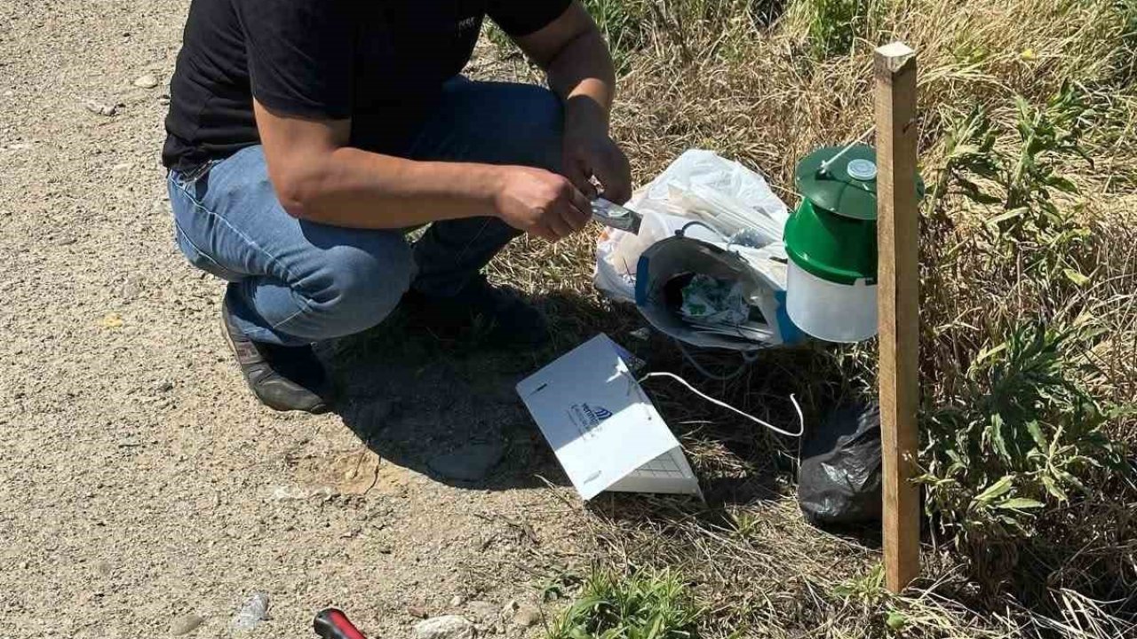 Köşk’te pamuk tarlalarına zararlı takibi için monitör tuzak kuruldu