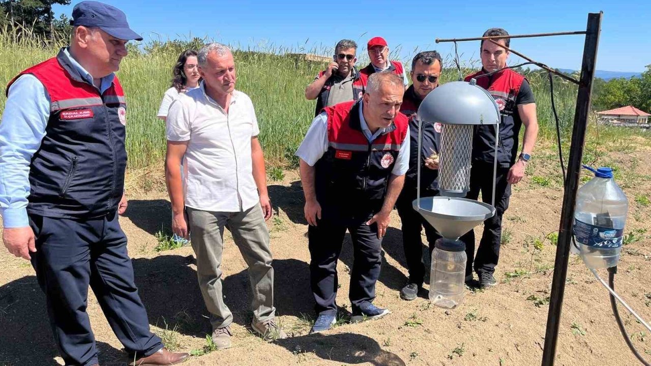 Karabük’te safran üretim alanlarında teknik inceleme yapıldı