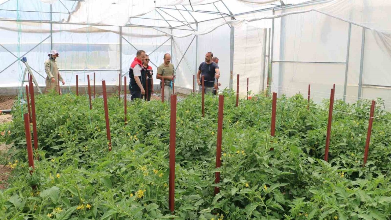 Erzincan’da seracılık yatırımları üretimi artırıyor