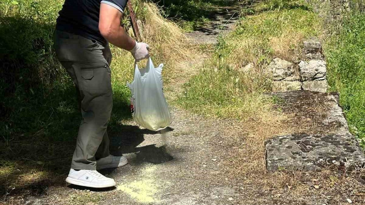 Bilecik’te piknik alanlarında ilaçlama çalışması gerçekleştirildi