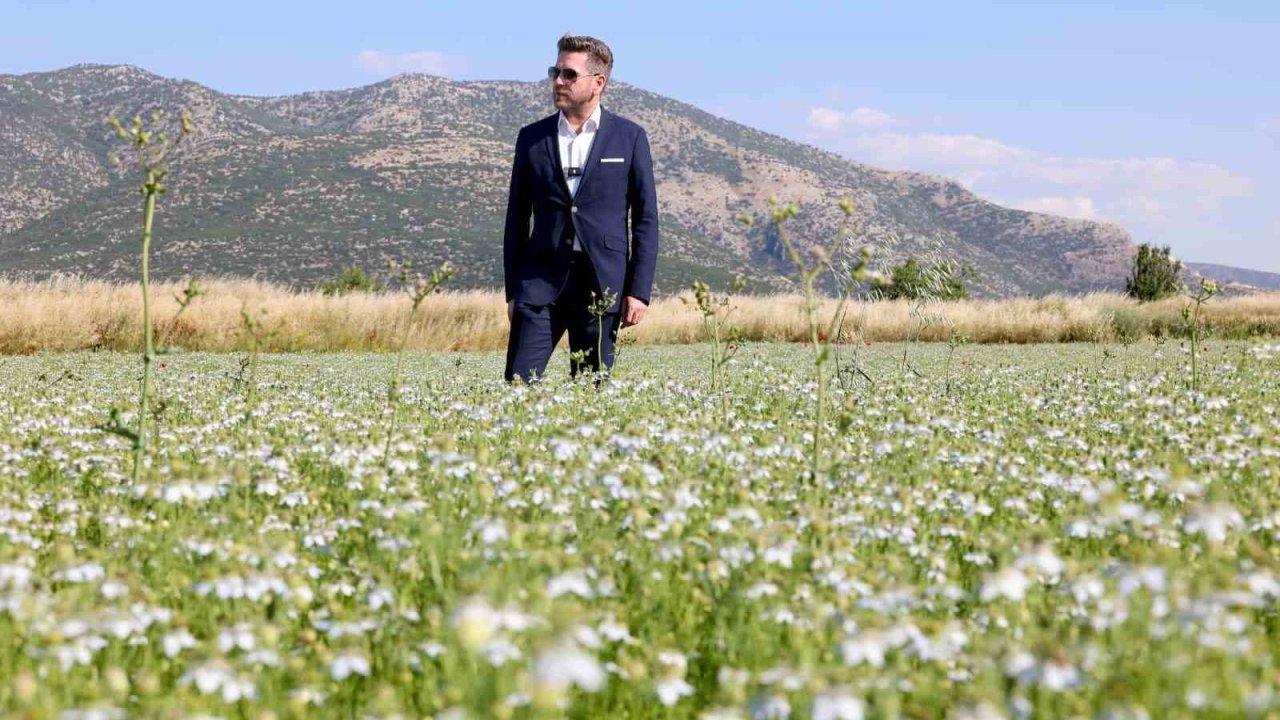 Tavas’ta karacaot ekiminde verimlilik testi yapılıyor