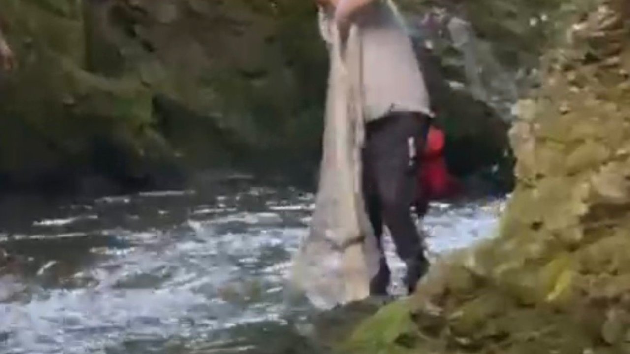 Bolu’da yasak dinlemeyen avcılar kamerada: Serpme ağ ile balık avladılar
