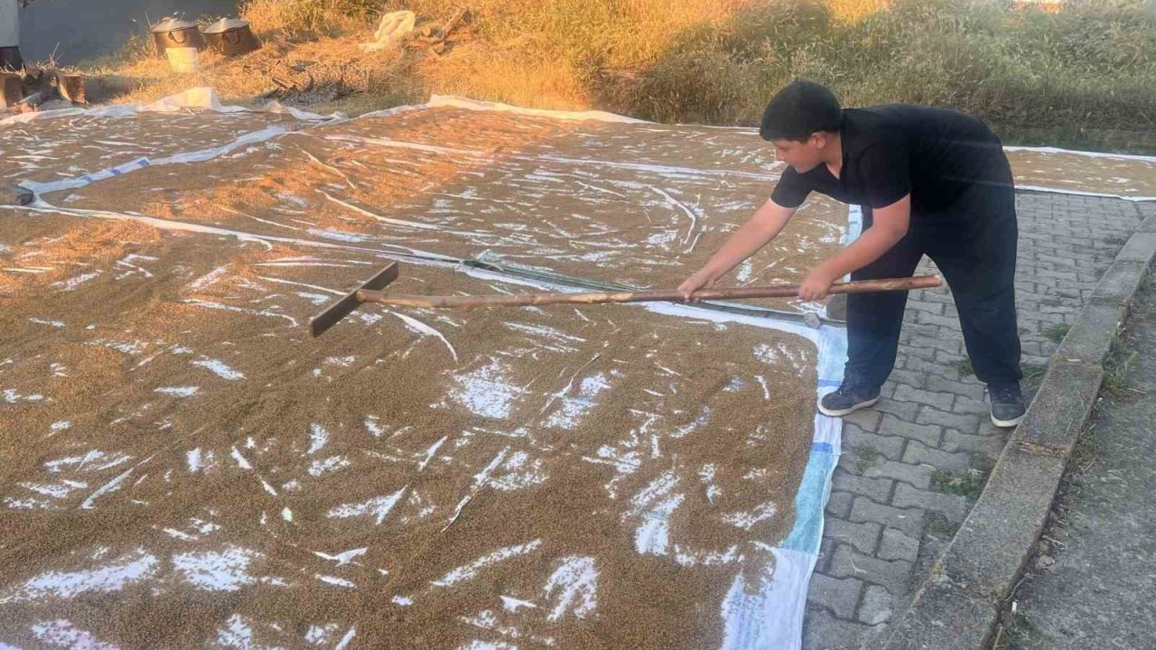 Çiçekdağı ilçesinde geleneksel bulgur yapımı başladı