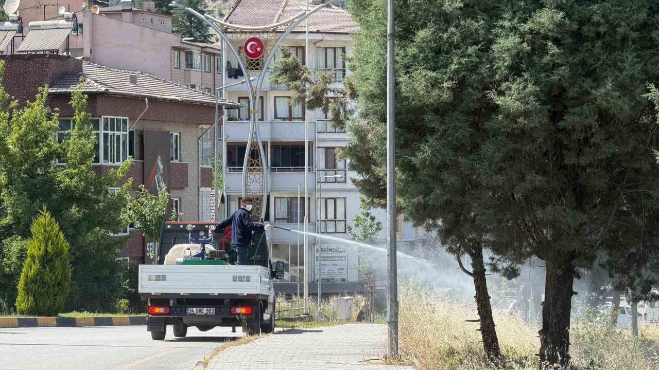 Karabük’te sinek ve haşereyle mücadele çalışmaları sürüyor