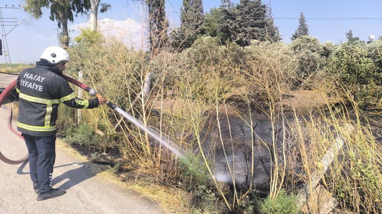 Reyhanlı’da zeytinlik alandan alevler yükseldi