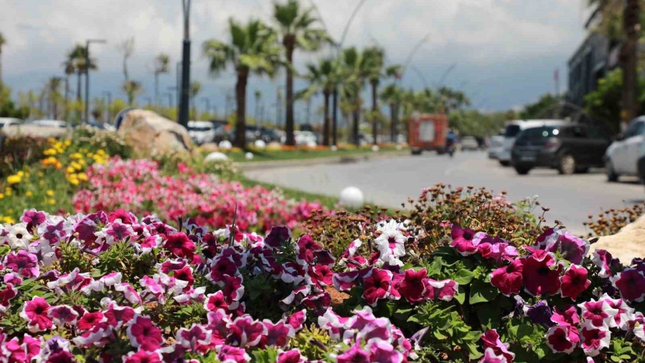 İskenderun sahili renkli çiçeklerle süslendi.