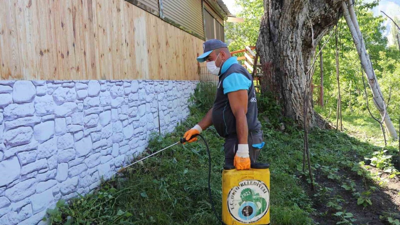 Oltu Belediyesi’nden kene ile mücadelede yoğun mesai