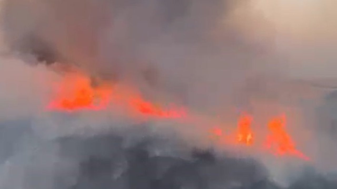 Oğuzeli’nde buğday tarlasında yangın