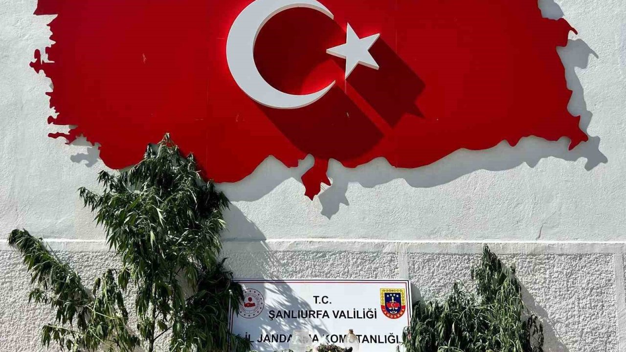 Hilvan’da uyuşturucu operasyonu: 1 gözaltı