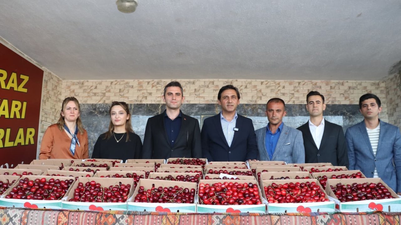 Selendi’de kirazın en iyisi seçildi