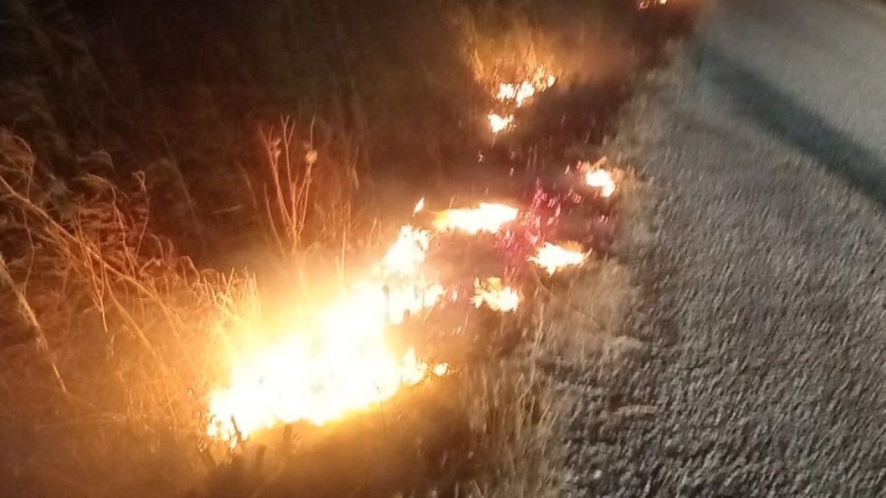 Ayvalık’ta otluk alan yangını büyümeden söndürüldü