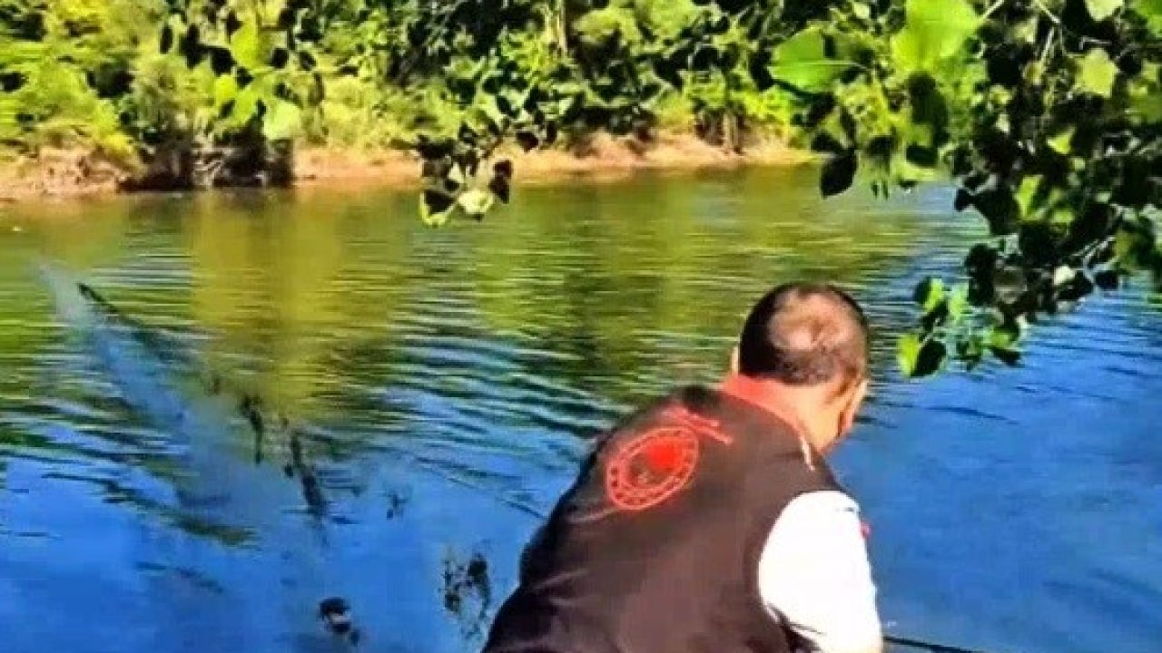 Sakarya’da nehir ve göletlerdeki kaçak ağlar tek tek toplanıyor
