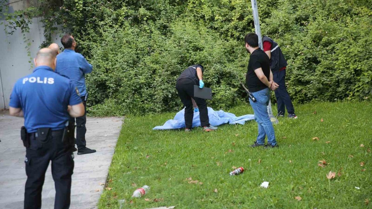 Panaromik asansörde manzara izlerken düşerek hayatını kaybetti