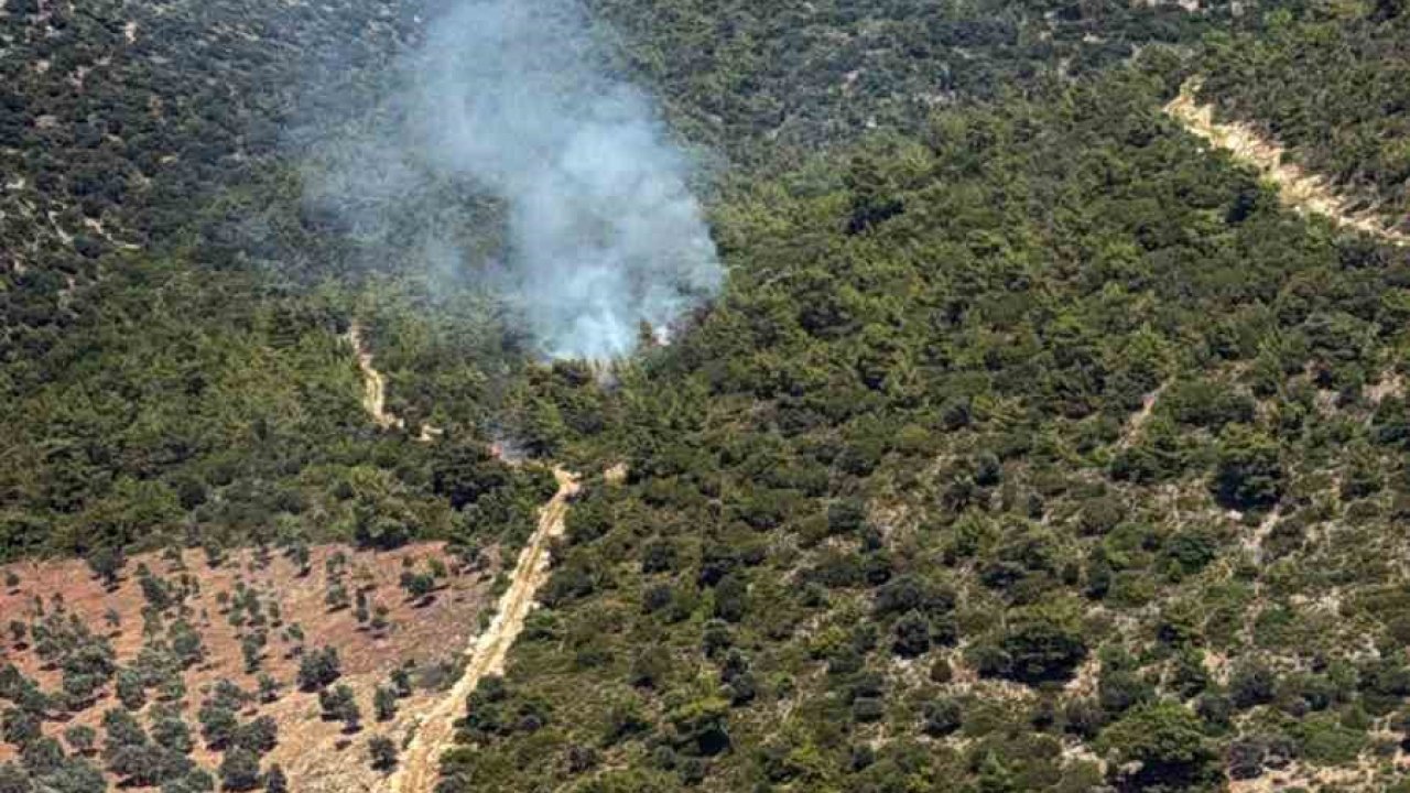 Milas Kazıklı Koyu’nda makilik alanda yangın çıktı