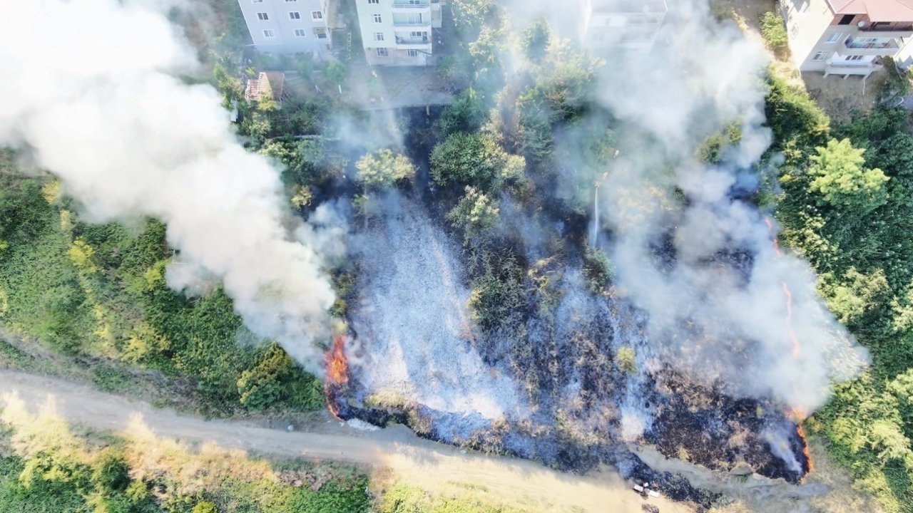 Samsun’da korkutan anız yangını