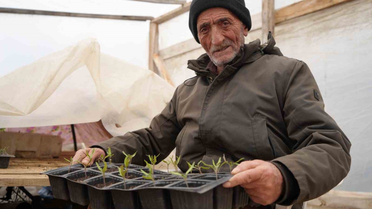 Bayburtlu çiftçi ’memleket meselesi’ gördüğü ata tohumlarını gelecek kuşaklar için çoğaltıyor