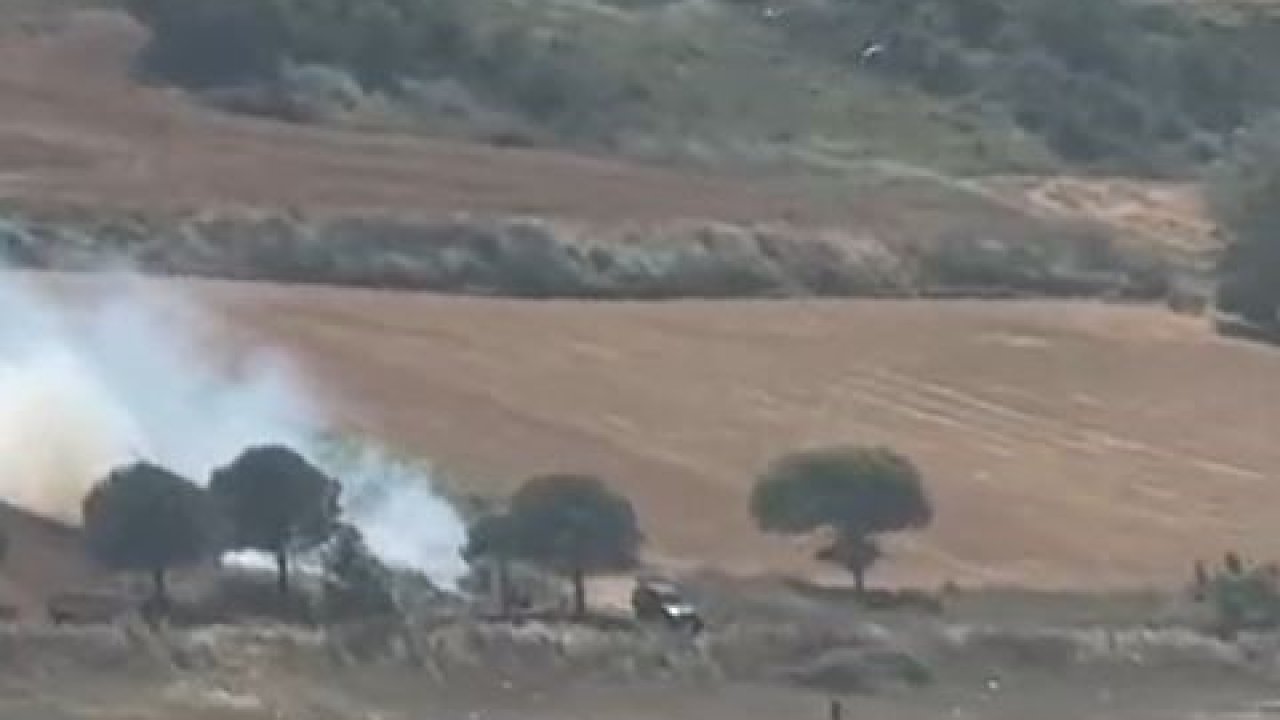 Piknik ateşi çayırlık alanı küle çevirdi