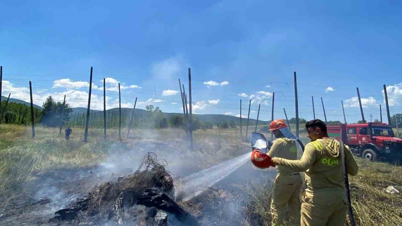 Tarlada yakılan ateş yangına neden oldu