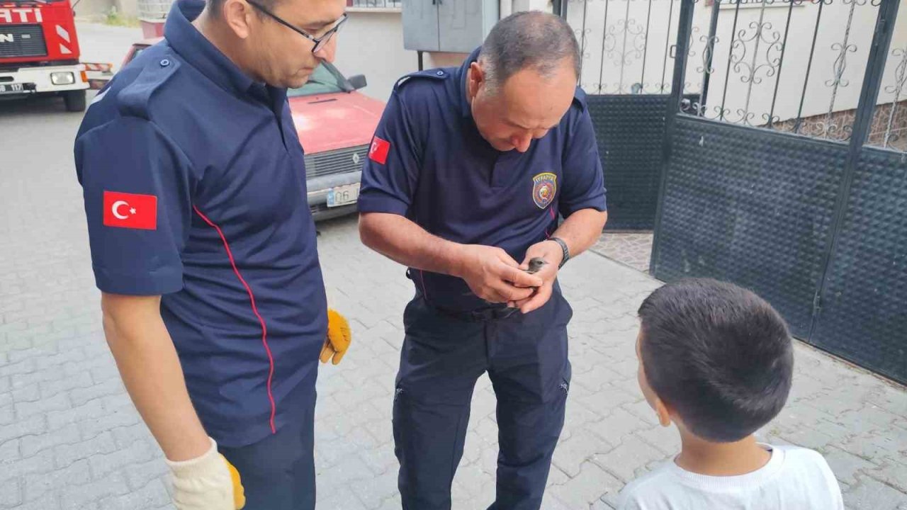 Çorum’da çatı kenarına sıkışan kuşu itfaiye kurtardı