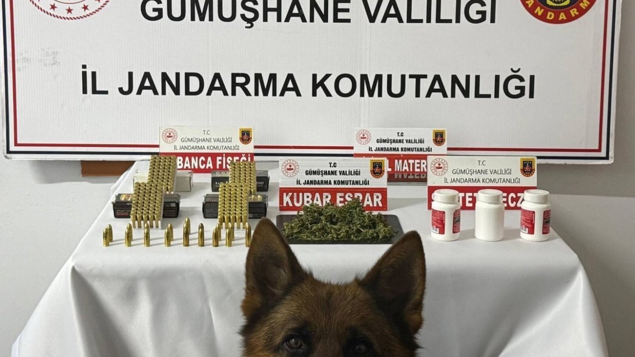 Gümüşhane’de uyuşturucu operasyonu