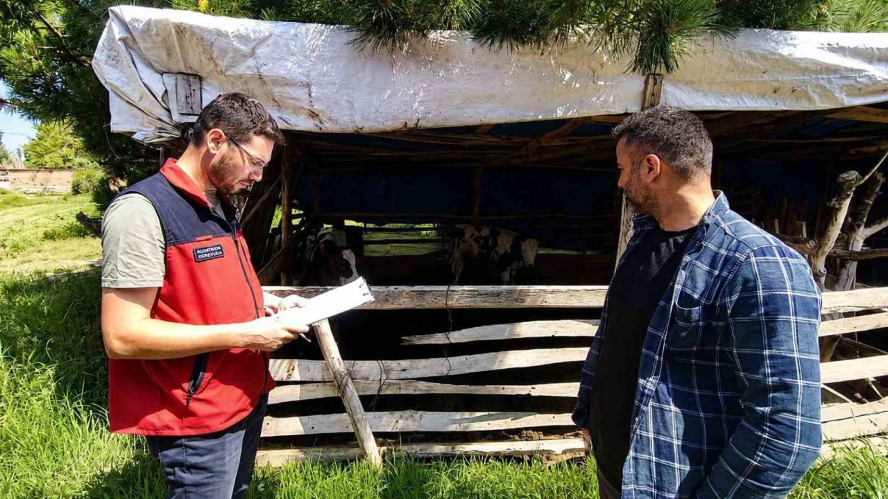 Buzağı kayıplarının önlenmesi için eğitim çalışması sürüyor