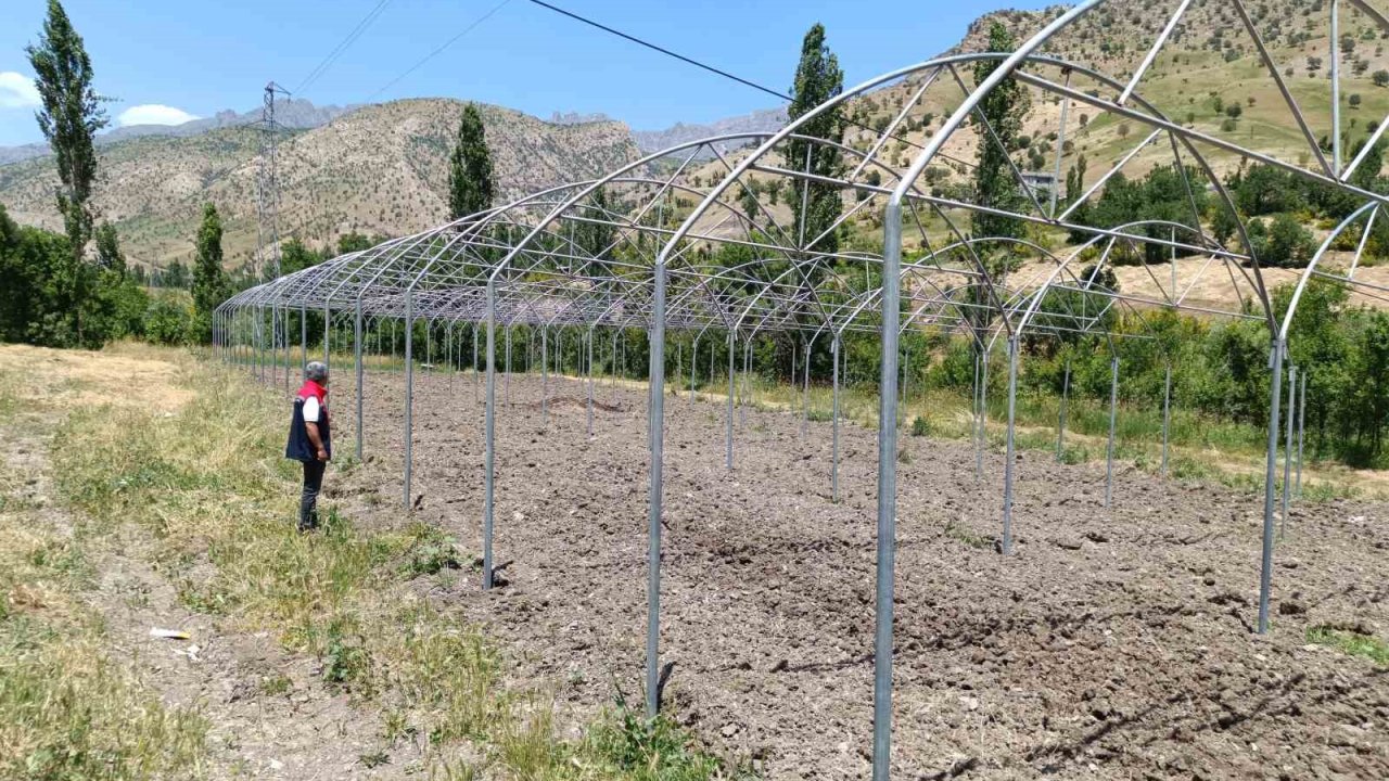 Şırnak’ta sera yatırımları yerinde incelendi