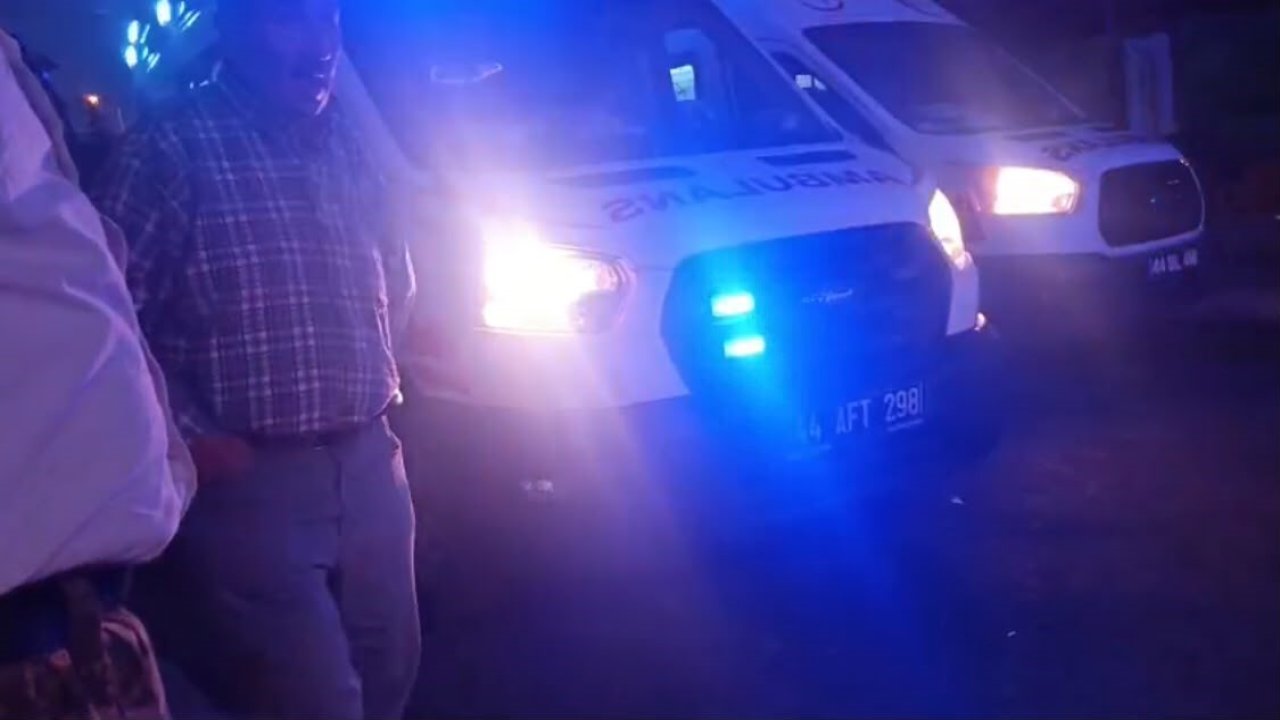 Malatya’da akrabalar arasında "dut ağacı" kavgası: 1’i çocuk 3 yaralı