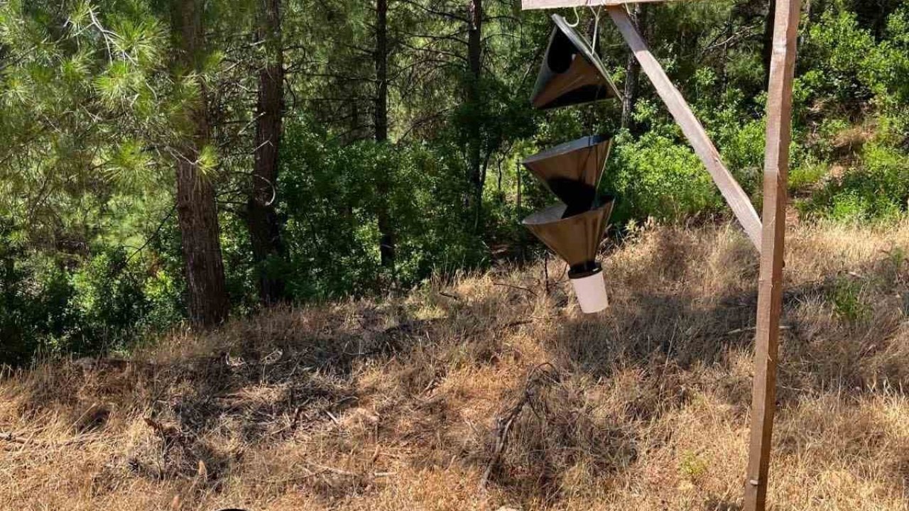 Hassa orman işletme şefliğinden tuzaklara zarar vermeyin uyarısı