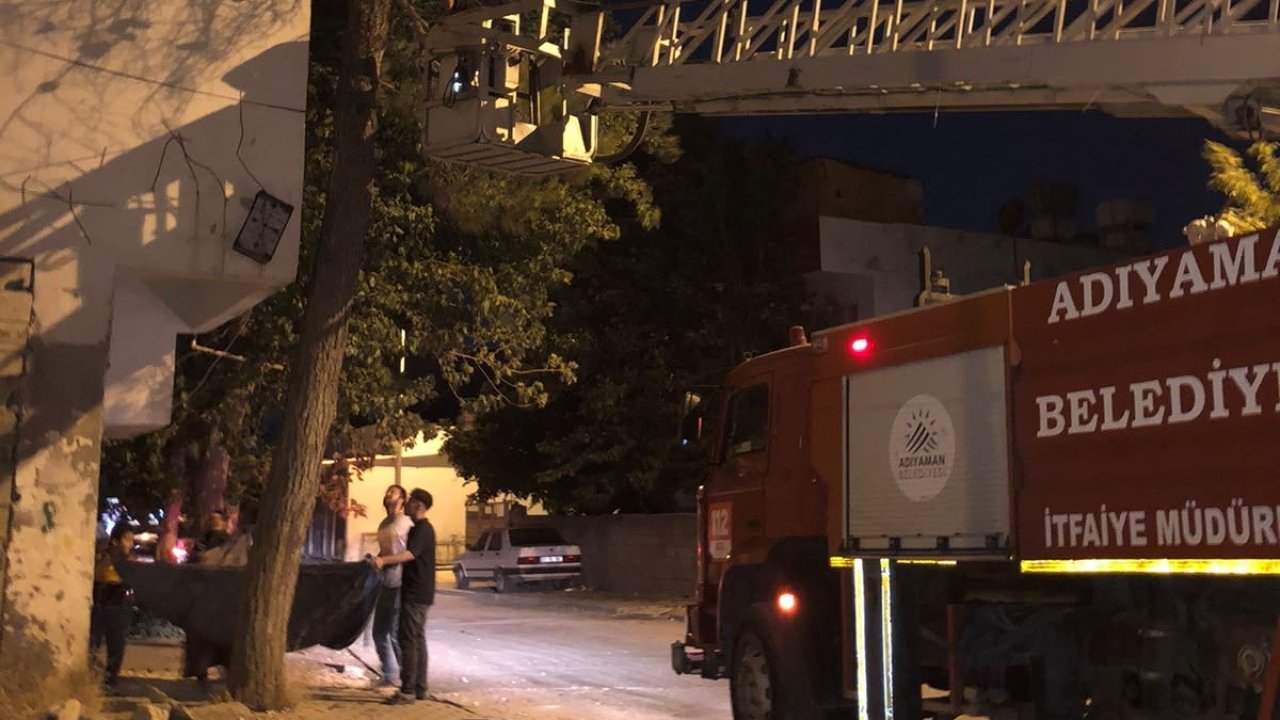 Ağaçta mahsur kalan kediyi itfaiye ekipleri kurtardı