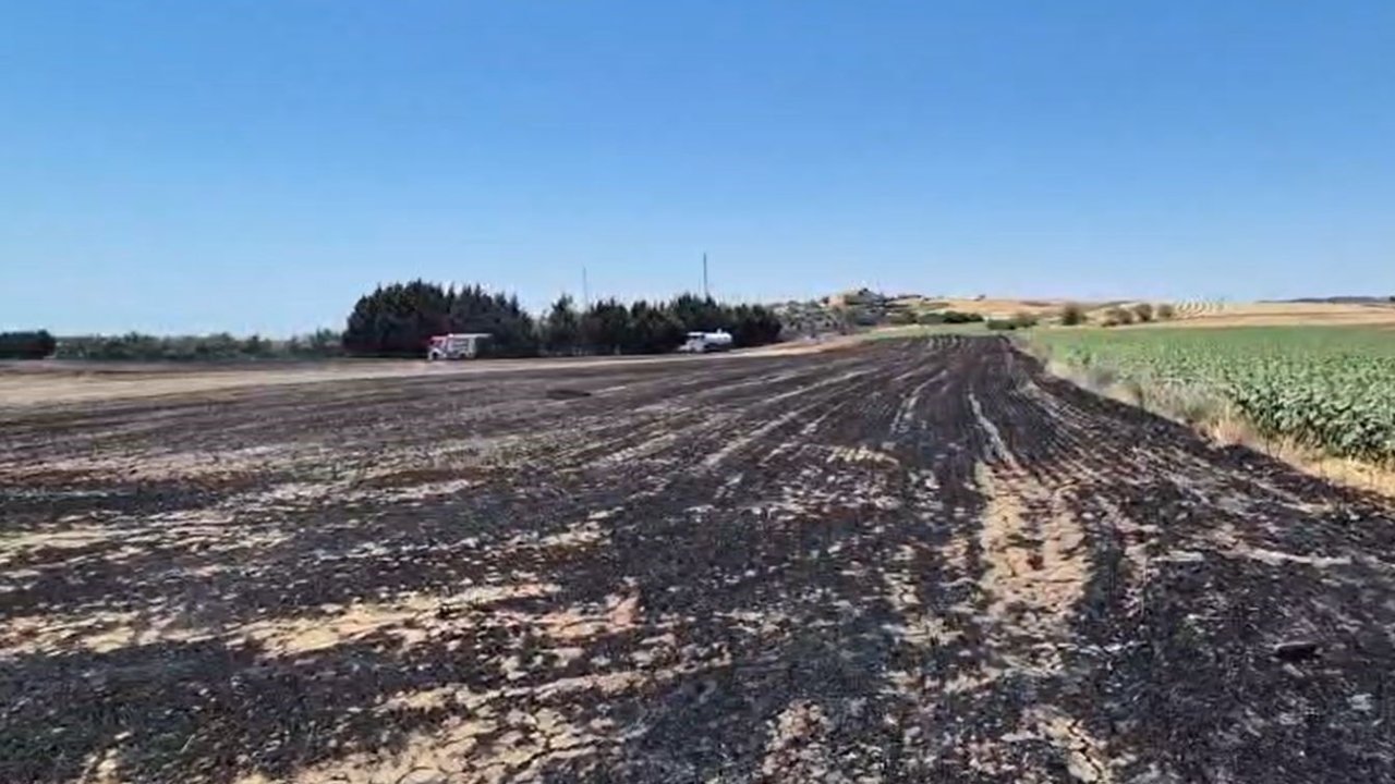 Silivri’de elektrik direği kesimi sırasında yangın: Ekili araziler zarar gördü