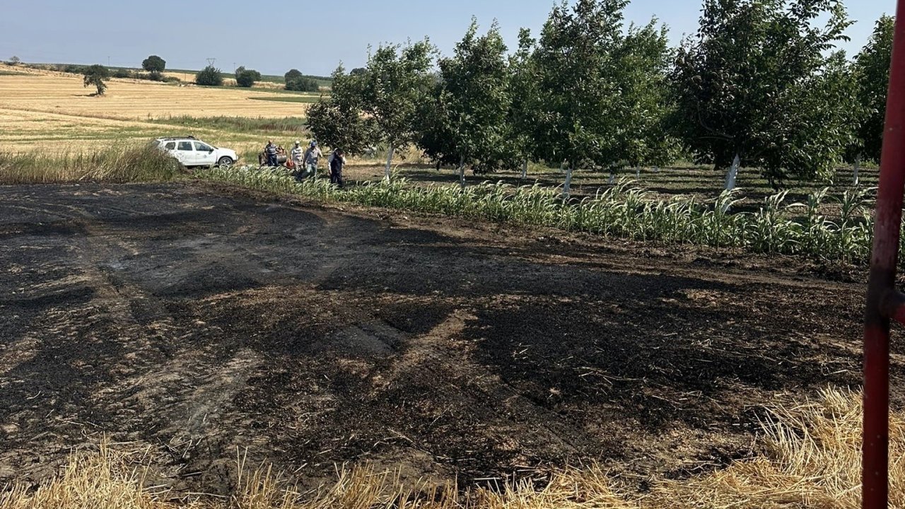 Bandırma’da çıkan anız yangını büyümeden söndürüldü