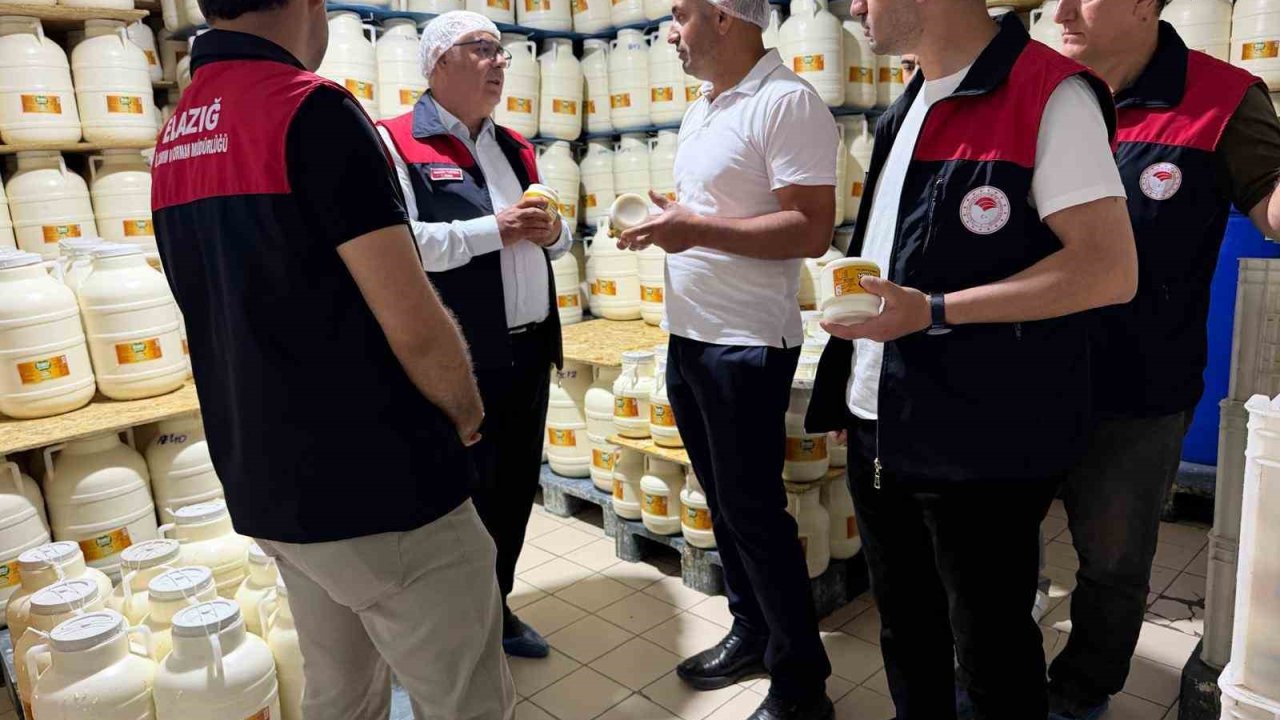 Elazığ’da tulum peynirinde üretim süreci yerinde incelendi