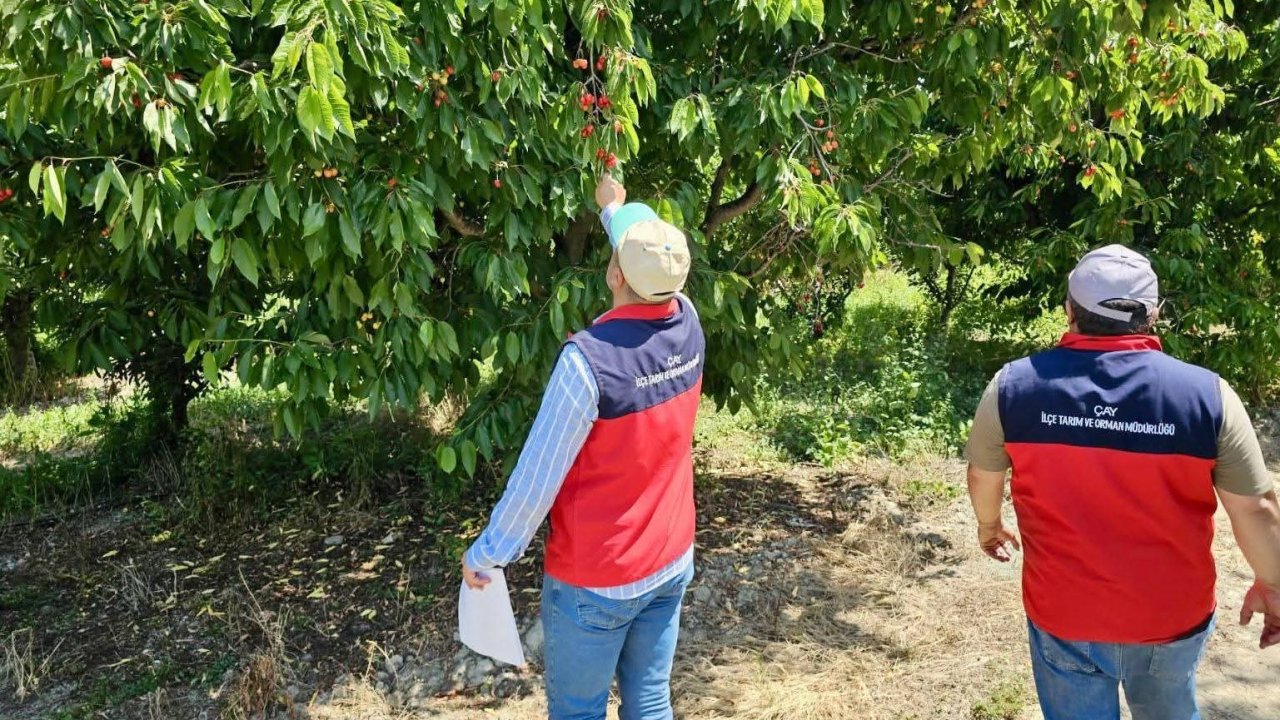 Dolu yağışından dolayı hasar tespit çalışmaları sürüyor