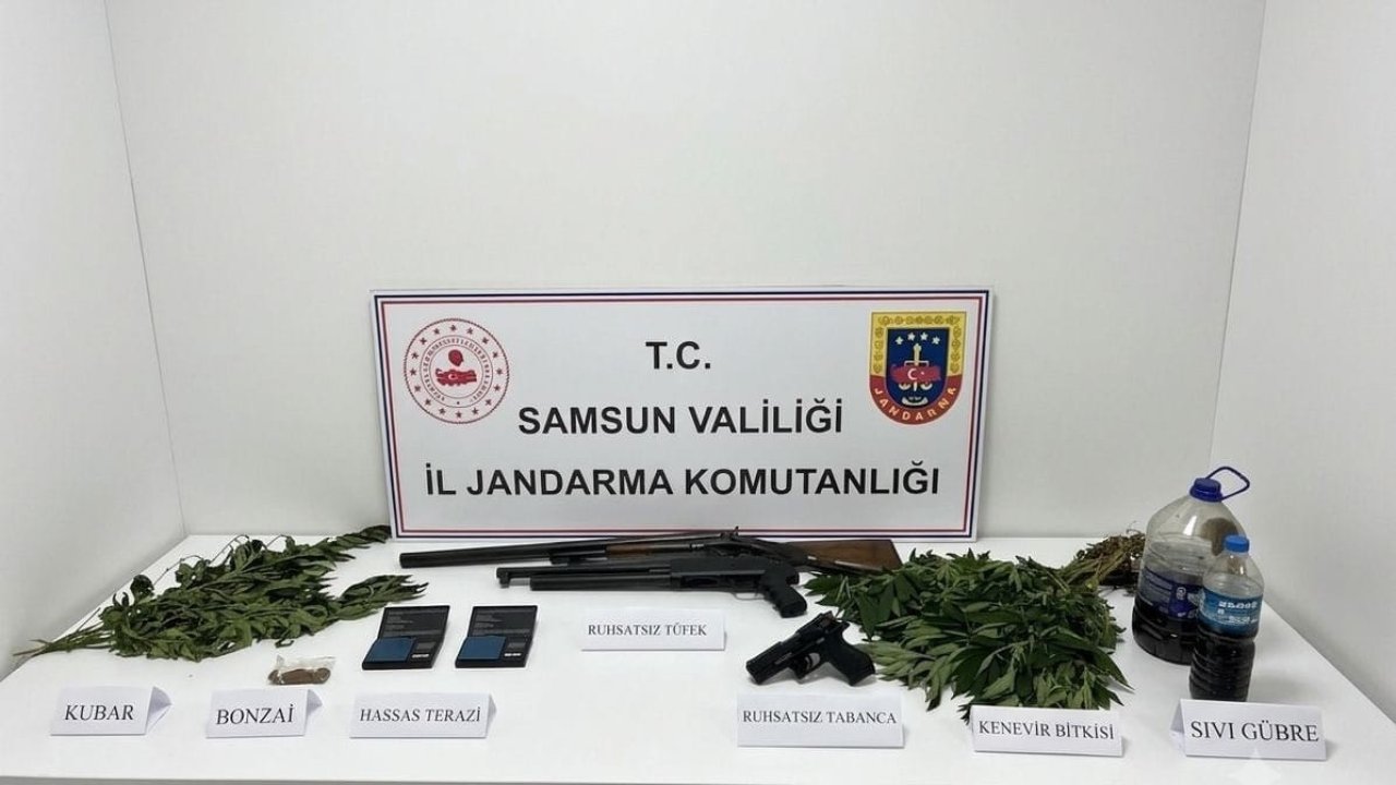 Jandarma uyuşturucu, silah ve kenevir ele geçirildi