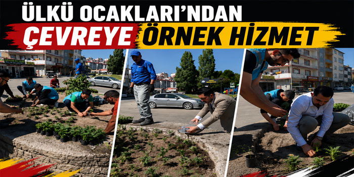 Kars Ülkü Ocakları'ndan Çevreye Örnek Hizmet