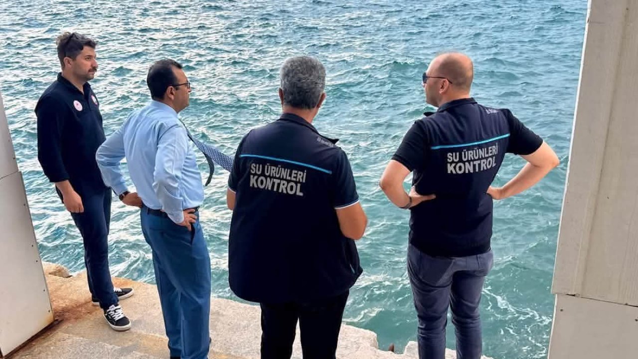 Kuzey Ege Su Ürünleri Kontrol ve Denetim Merkezi’nde incelemelerde bulunuldu