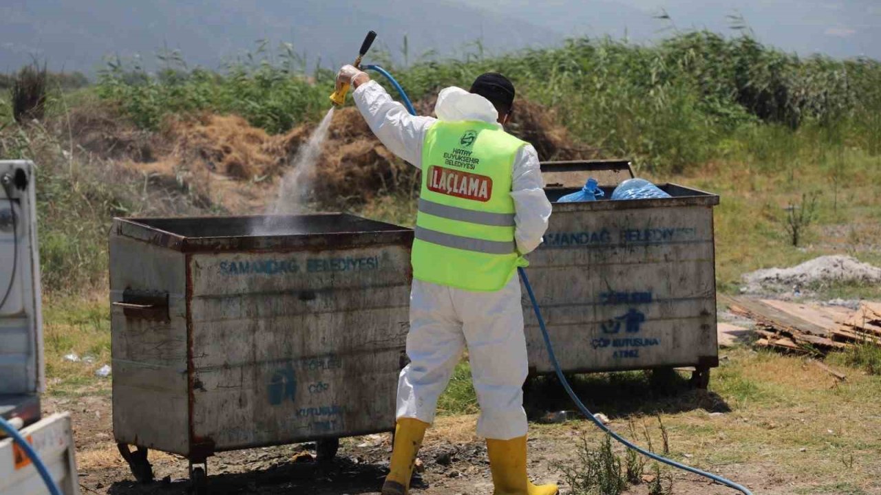 Hatay Büyükşehir Belediyesi il genelinde ilaçlama çalışmalarına aralıksız devam ediyor