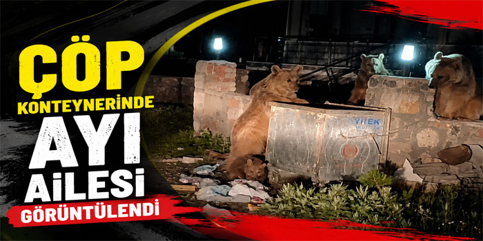 Sarıkamış'ta Ayı Ailesi Görüntülendi