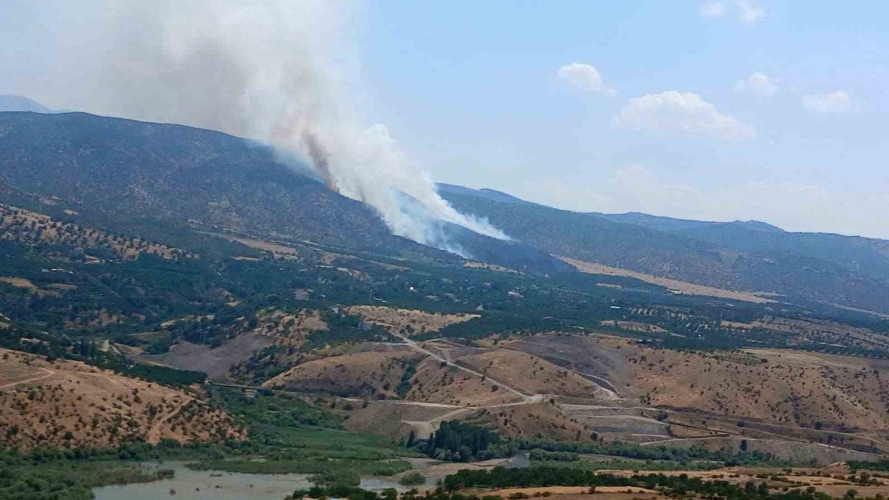 Pütürge’de orman yangını